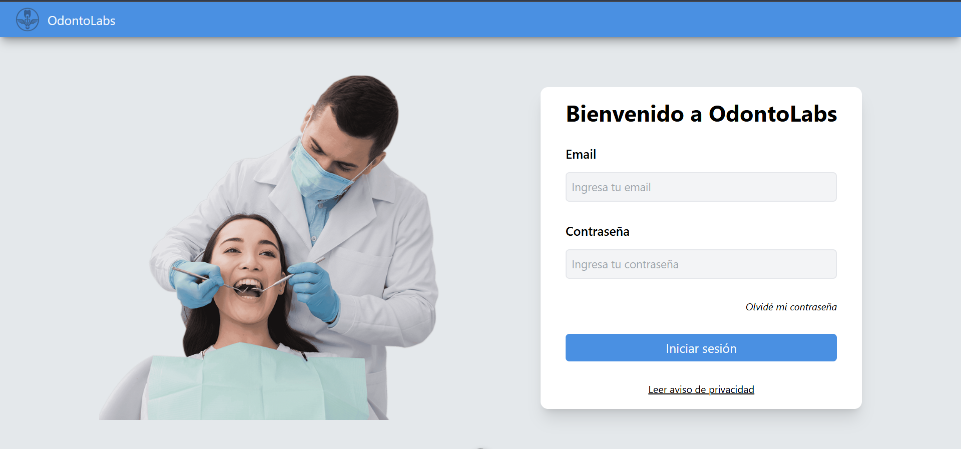 Vista previa del Proyecto 1